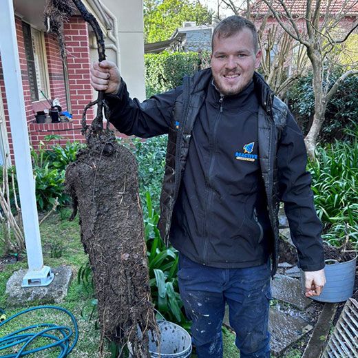 Same Day Sewer & Drain Clearing Across Eagleby